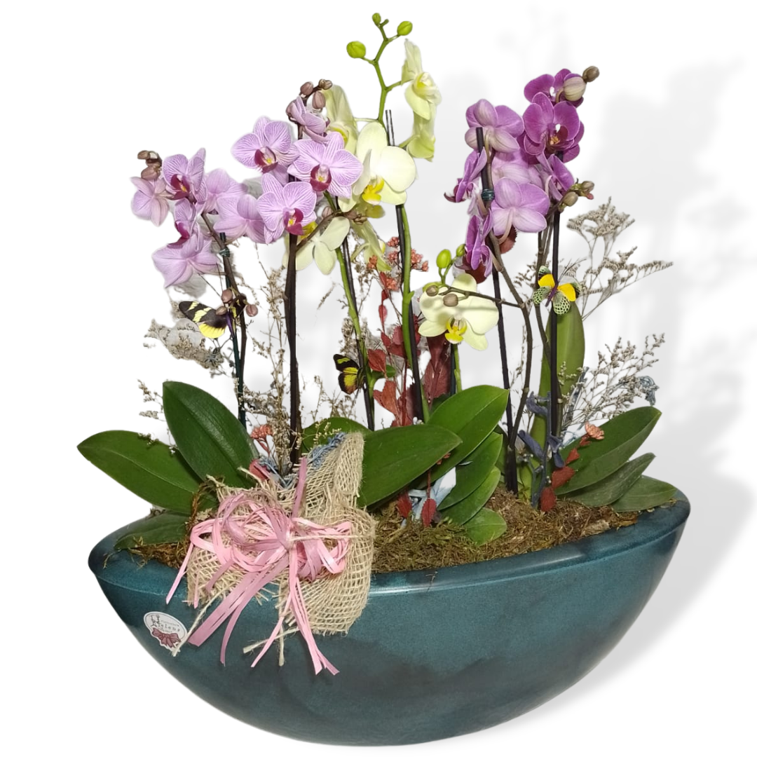 Mini Orquídeas Decoradas em um Vaso Perola 