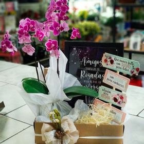 Kit Mini Orquídea, quadro e placa