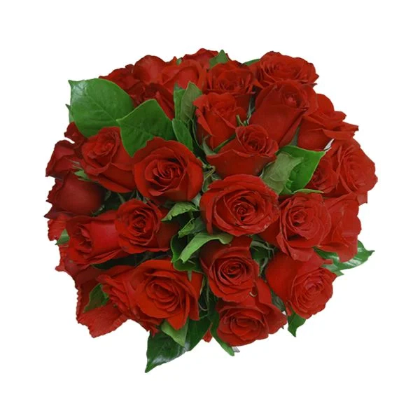 Buque 25 Rosas com laço de rafia