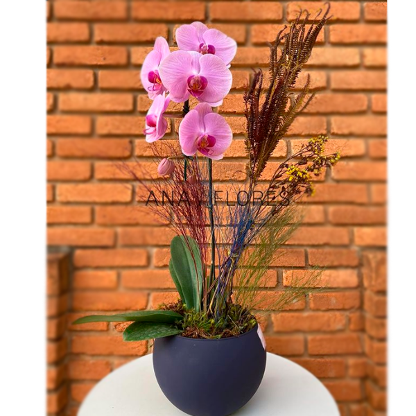 Orquídea em vaso de vidro