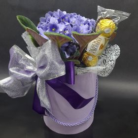 box de violeta
