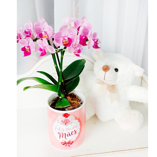 Mini orquídea na caneca com pelúcia