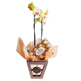 Orquídea com Ferrero Rocher