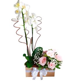 Orquídea Com Arranjo De Rosas