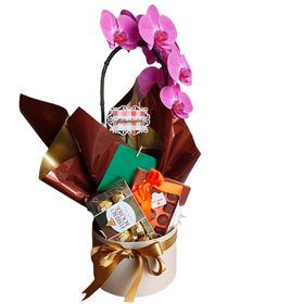 Box com Orquídea e Chocolates