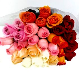 Buquê de 24  Rosas coloridas