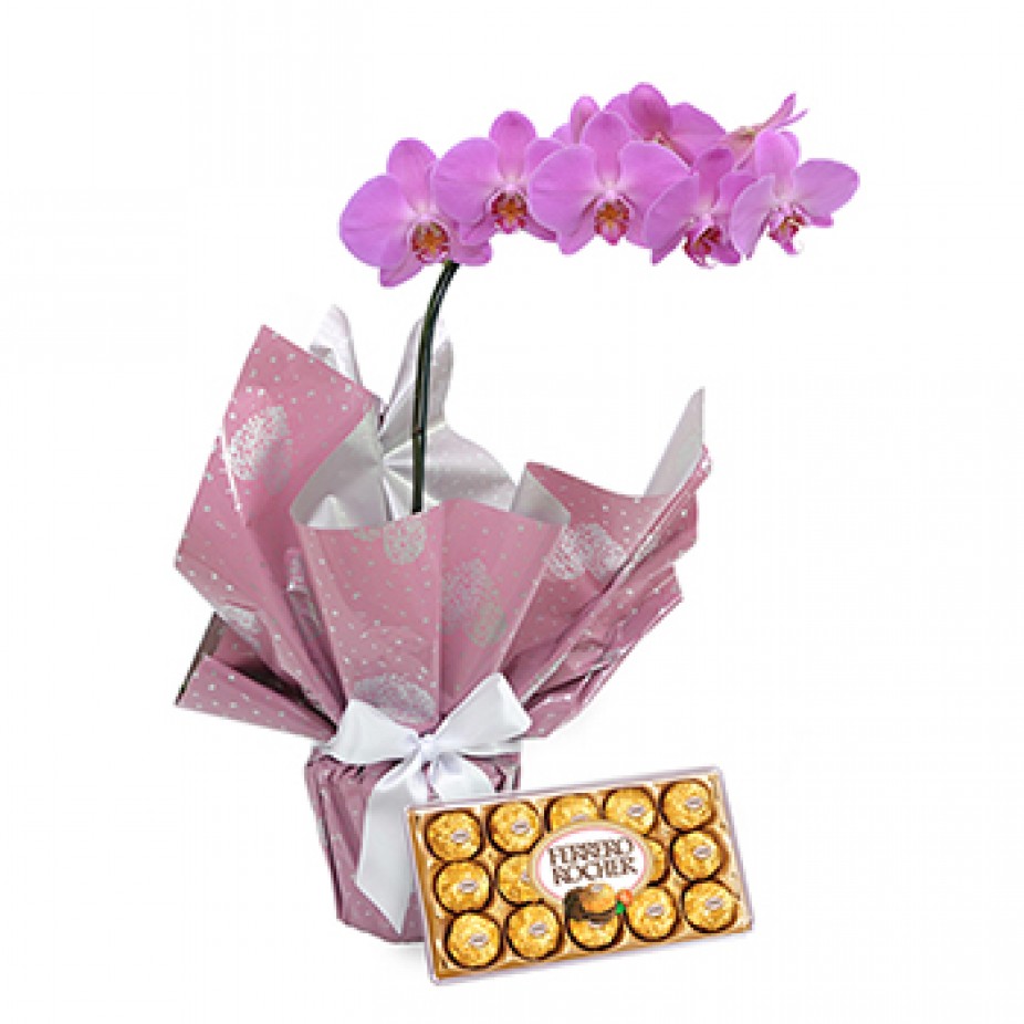 Orquídea Lilas e chocolate 