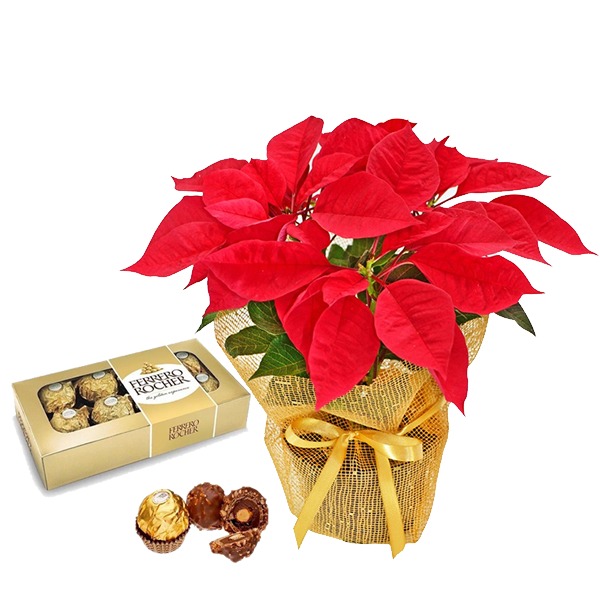 Flor de Natal com Ferrero Rocher de 8