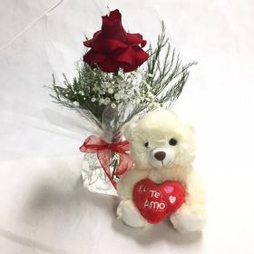rosa decorada e Teddy