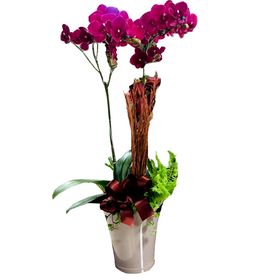 thumb-orquidea-roxa-2-hastes-decorada-em-vaso-retro-0