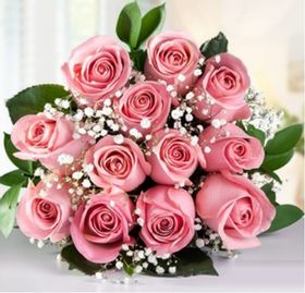 15 Rosas Cor de Rosa em Tela Cor de Rosa