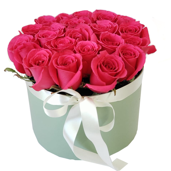 Box 20 rosas Pink 