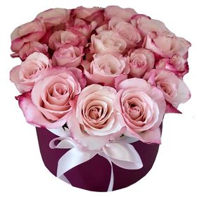 Box 20 rosas cor de rosa degradê 