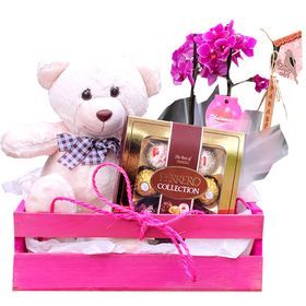 Caixa com mini orquídea, urso e Ferrero Rocher 