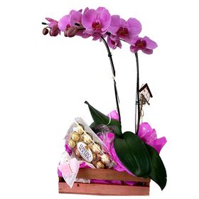 Orquídea Roxa 02 Hastes + Ferrero Rocher
