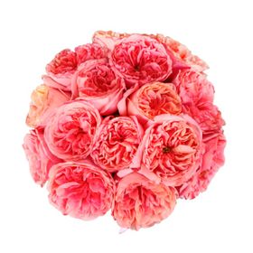 Bouquet de Garden Roses no vaso