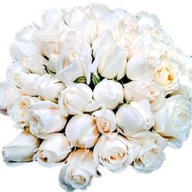 Buquê com 60 Rosas Brancas