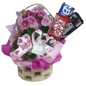 Arranjo de flor em cestinha com chocolates 